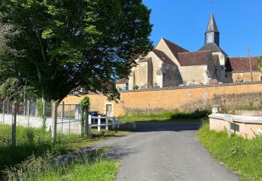 Trail Walking Saint-Germain-des-Grois - Marche 05062021 - Photo