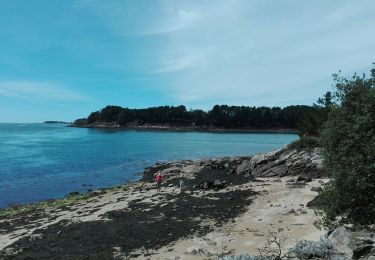 Tocht Stappen Larmor-Baden - ile de Berder - Photo