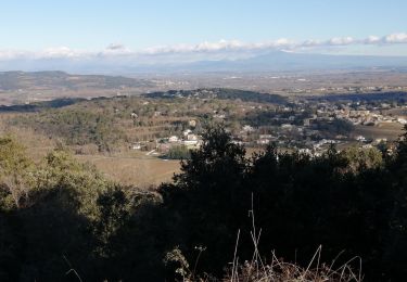 Randonnée Marche Gaujac - oppidum de gaujac - Photo