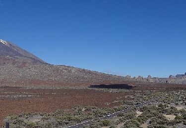 Trail On foot Guía de Isora - S-18 Chavao - Photo