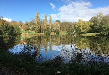 Excursión Senderismo Messimy-sur-Saône - Messimy - Messimy (Ain) - Photo