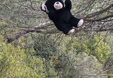 Percorso Marcia Cuges-les-Pins - Cuges la Curasse - Photo
