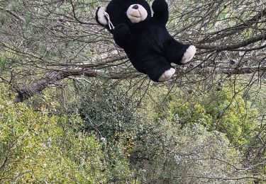 Randonnée Marche Cuges-les-Pins - Cuges la Curasse - Photo