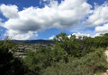 Randonnée Marche Bédoin - Sud Ventoux et Combe de Curnier  - Photo