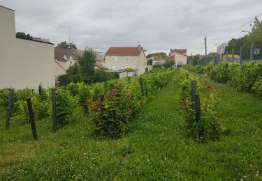 Randonnée Marche Bagneux - Bagneux  - Photo