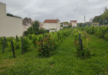 Excursión Senderismo Bagneux - Bagneux  - Photo