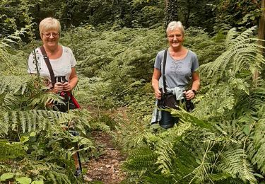 Tour Wandern Gerpinnes - Graines 13 07 24 - Photo