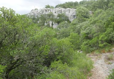 Tocht Te voet Plan-d'Aups-Sainte-Baume - plan d'aups pour l été - Photo