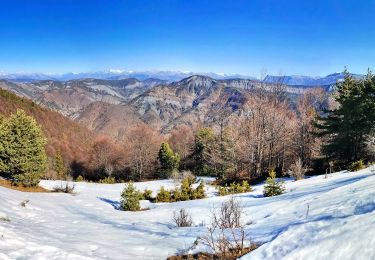 Tour Wandern Bayons - Sommet de la Chanau - Photo