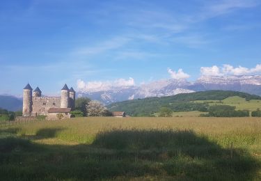 Excursión Marcha nórdica Jarrie - Château de Bon Repos, Bois de Bouchassey, Saut du Moine - Photo