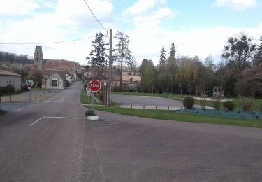 Percorso Bicicletta Paron - Sortie Ã  vÃ©lo dans l'aprÃ¨s-midi - Photo