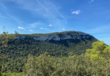 Randonnée Marche Esporles - GR221 # Esporles - Valldemossa - Deià - Photo