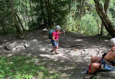 Trail Walking Saint-Gervais-les-Bains - 5ieme jour matin  Bionay - Photo