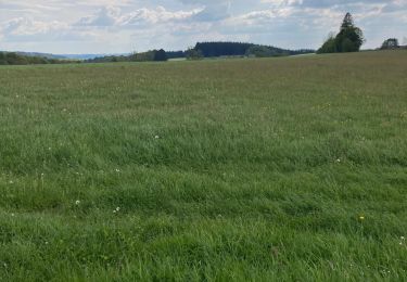 Tour Wandern Bièvre - Balade de la fontaine de St Fircy - Photo