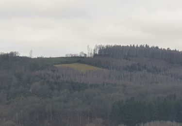 Tocht Stappen Wellin - rando chanly 6/01/2022 - Photo