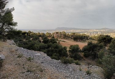 Trail Walking Toulon - Le Faron-13-04-22 - Photo