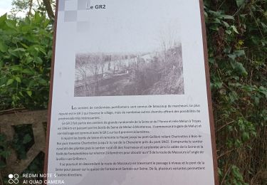 Excursión Senderismo Chartrettes - la Seine à Chartrette  - Photo