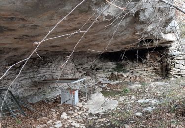 Percorso A piedi Villes-sur-Auzon - les escampeaux avec variante - Photo