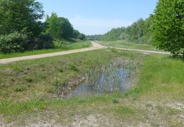 Percorso A piedi  - Naturstien i Hedeland - Photo