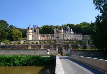 Tour Wandern Rigny-Ussé - Rigny-Ussé - Bréhémont - 25.7km 110m 5h30 (40mn) - 2021 07 17 - Photo