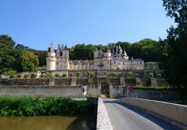 Randonnée Marche Rigny-Ussé - Rigny-Ussé - Bréhémont - 25.7km 110m 5h30 (40mn) - 2021 07 17 - Photo