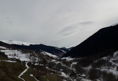 Tocht Sneeuwschoenen Mayrègne - bourg doueil - Photo