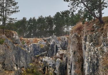 Tour Wandern Viroinval - Balade dans le Viroinval - Photo