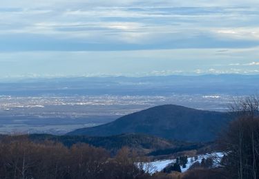 Randonnée Marche Murbach - Grand Ballon Refuge USM - Photo