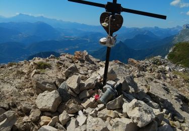 Percorso Marcia Lans-en-Vercors - Pic Saint Michel - Photo