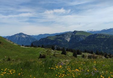 Trail Walking Proveysieux - Boucle vers Hurtière depuis le col de la Charmette - 31 mai 2025 - Photo