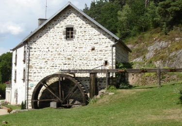 Excursión Senderismo Charbonnières-les-Vieilles - Charbonnieres_Moulins_Morge_2 - Photo