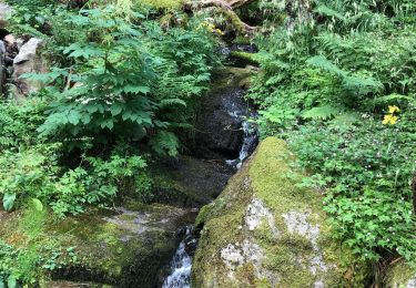 Tour Wandern Stoßweier - Chemin des cascades - Photo