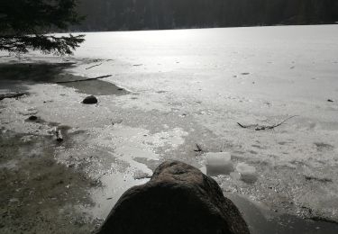 Trail Walking La Bresse - 24022021 La Bresse Lac des corbeaux - Photo