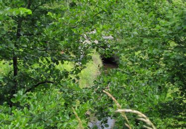 Excursión A pie Compiègne - en forêt de Compiègne_34_autour du Buissonnet et du Berne - Photo