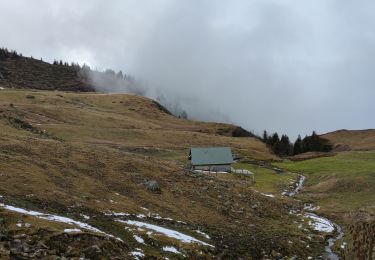 Tour Wandern Theys - De Pipay vers le Crêt du boeuf en boucle - 14 nov 2021 - Photo