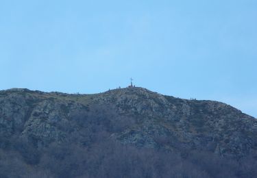 Trail On foot Viladrau - SL-C 82 Coll de Bordoriol-Coll Pregon - Photo