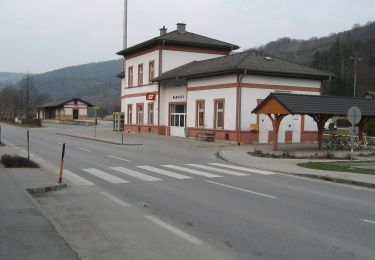 Percorso A piedi Gemeinde Thomasberg - Grimmenstein - Kulmriegel - Landeskrankenhaus Grimmenstein - Hochriegel - Photo