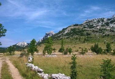 Tour Zu Fuß  - Grebenski put kroz Dabarske kukove - Photo