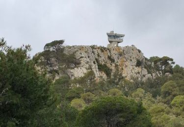 Trail Walking Gruissan - La Vigie massif de la Clape - Photo