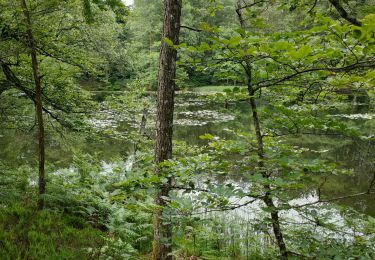 Randonnée Marche Ternuay-Melay-et-Saint-Hilaire - melay  - Photo