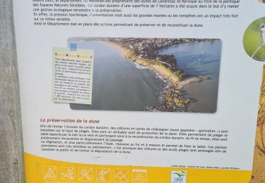 Trail Walking Damgan - rando 1 du 09 Juin 2021 - Photo