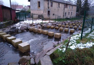 Trail Walking Archettes - Archettes beaujolais - Photo