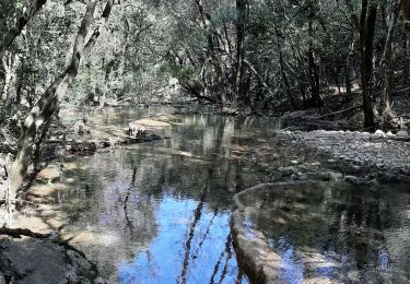 Trail Walking Nans-les-Pins - Nans - Photo