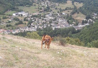 Tour Wandern Val-de-Sos - le château Vicdessos  - Photo