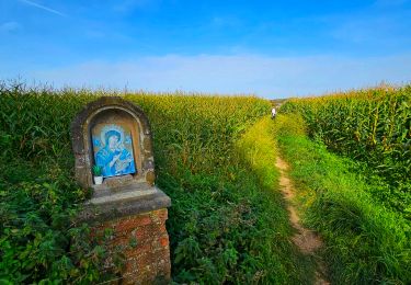 Tour Wandern Braine-le-Comte - Marche Adeps à Hennuyères - Photo