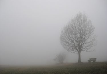 Randonnée A pied Waldbrunn - Rundwanderweg 51: Holdergrund-Weg - Photo