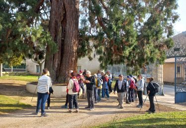 Tocht Stappen Limoux - Vendemies / Alex les Bains - Photo
