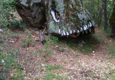 Tour Wandern Montmeyan - quinson - Photo