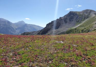 Randonnée Marche Saint-Chaffrey - les crêtes de Peyrolles - Photo