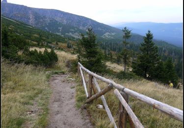 Randonnée A pied  - Pod Łabskim Szczytem - Rozdroże pod Wielkim Szyszakiem - Photo